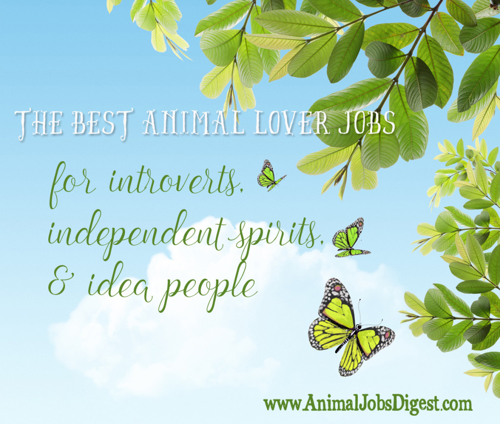 The Best Animal Lover Jobs . . . for Introverts, Independent Spirits, &  Idea People – Animal Jobs Digest
