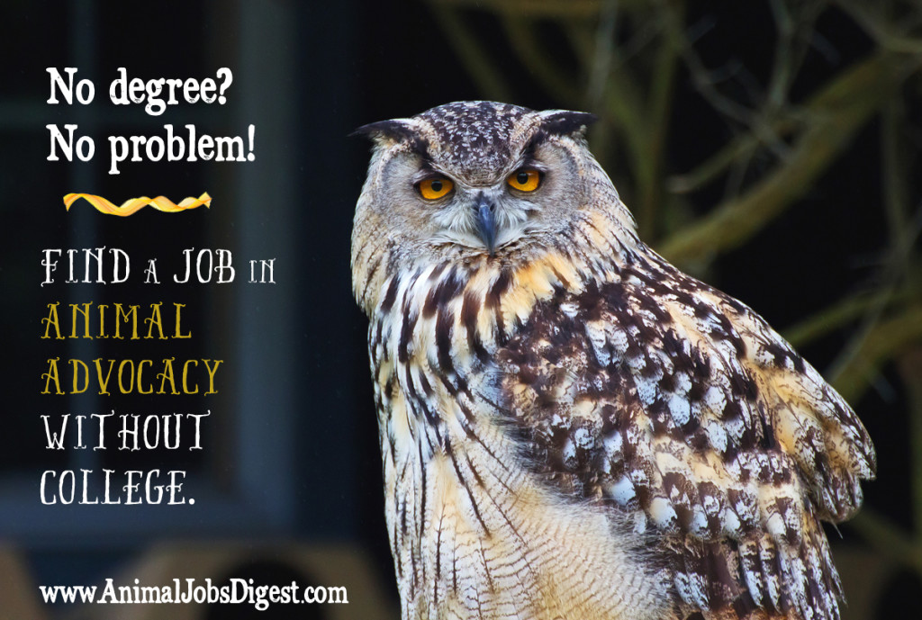 No Degree? No Problem! Find a Job in Animal Advocacy Without College – Animal  Jobs Digest
