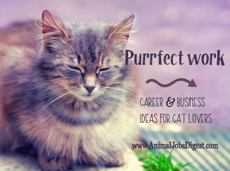Purrfect Work: Career & Business Ideas for Cat Lovers – Animal Jobs Digest